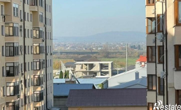 1-комн квартира улица Чернышевского, 201В,  д. 201В