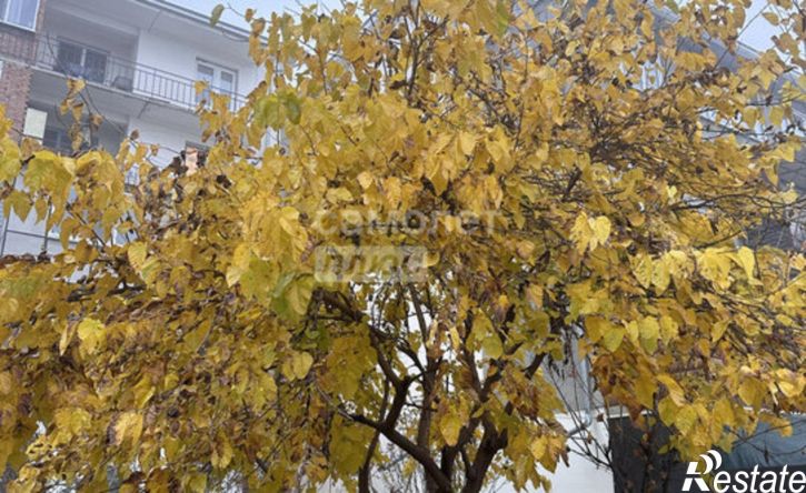 2-комн квартира ул Профсоюзная, 220Б,  д. 220Б