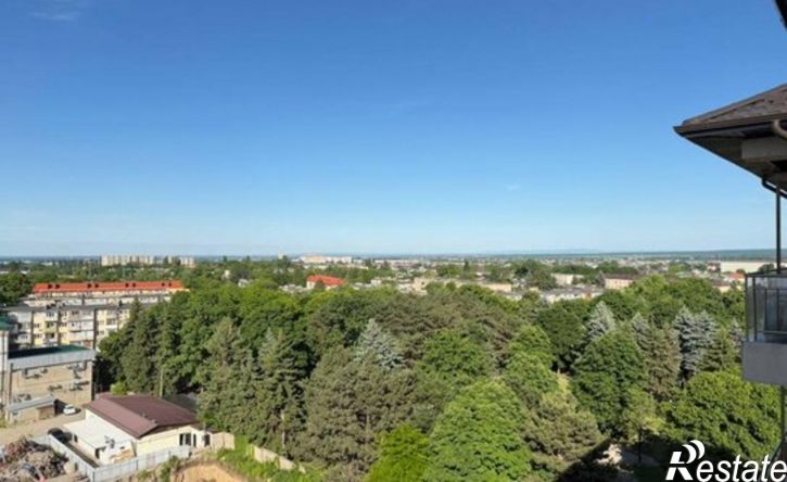 1-комн квартира улица Ашурова, 1Д,  д. 1Д