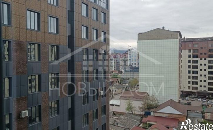 1-комн квартира ул Толстого, 43,  д. 43