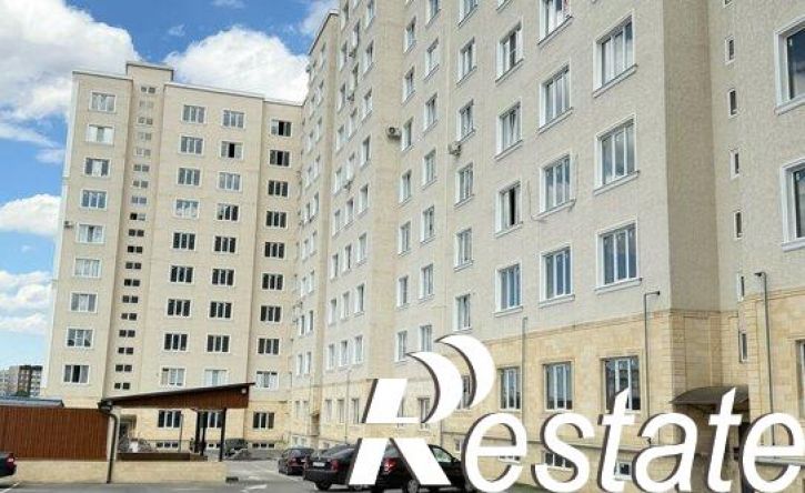 2-комн квартира улица Налоева, 10 к2,  д. 10 к2