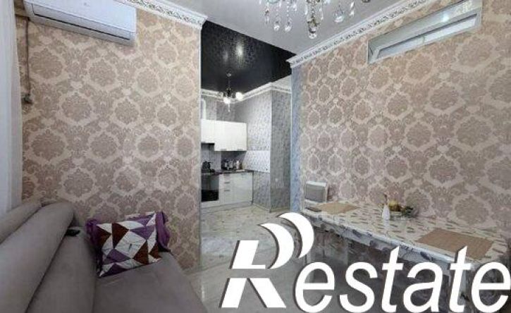 1-комн квартира улица Толстого, 180Б,  д. 180Б